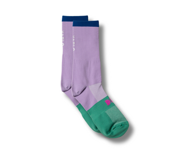 Venture Sock (Teal)